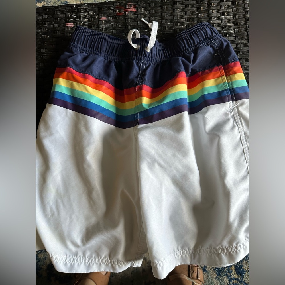 Hannah Anderson Rainbow Swim Shorts